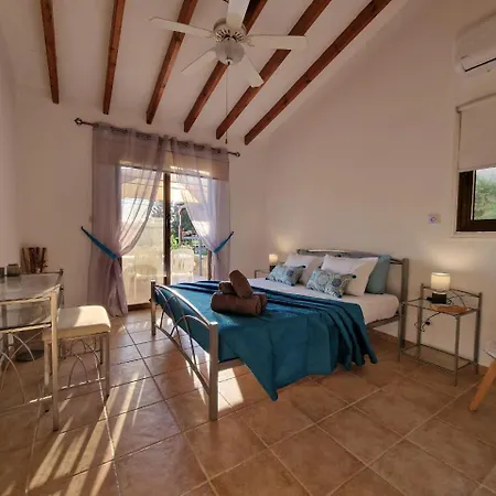 Cyprus Style Stone Villa Paphos